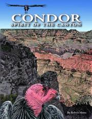 Condor