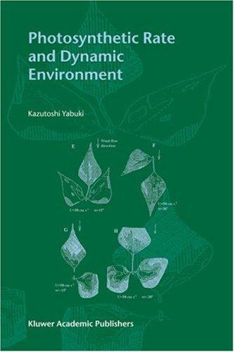 Photosynthetic Rate and Dynamic Environment