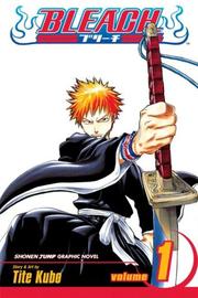 Bleach, Vol. 1 (Library Edition) (Bleach)
