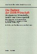 Die Endzeit der DDR-Wirtschaft