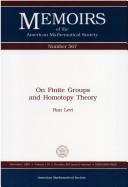 On finite groups and homotopy theory