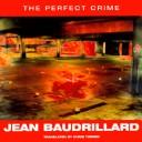 The perfect crime