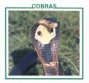 Cobras
