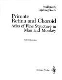 Primate retina and choroid