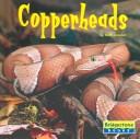 Copperheads (World of Reptiles)