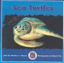 Sea Turtles (Dominie Marine Life Set 2)