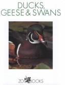 Ducks, Geese, & Swans