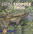 From Tadpole to Frog (Start to Finish)
