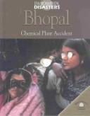 Environmental Disasters (Environmental Disasters (World Almanac Library))
