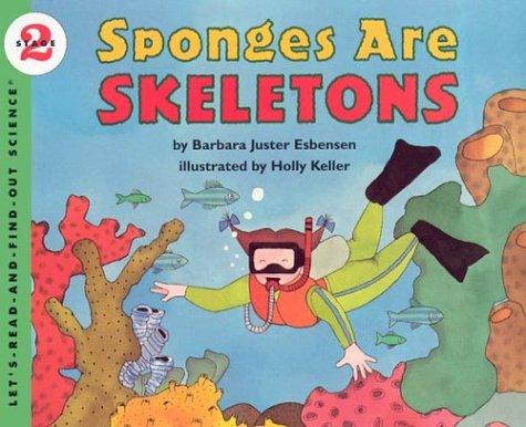 Sponges Are Skeletons