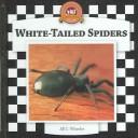 Spiders Set II