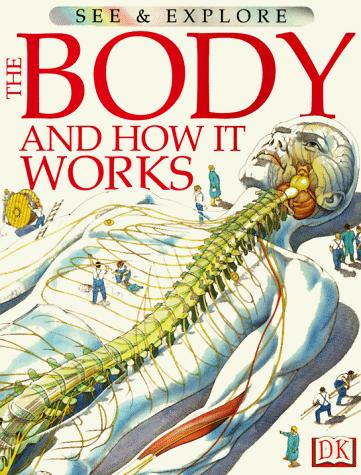 The body