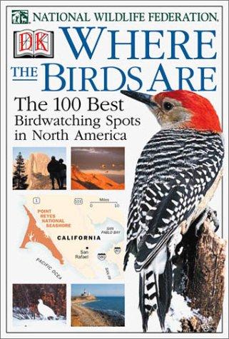 Where the birds are