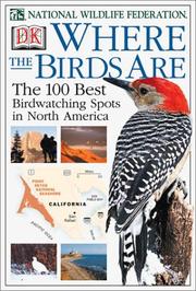 Where the birds are