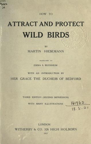 How to attract and protect wild birds