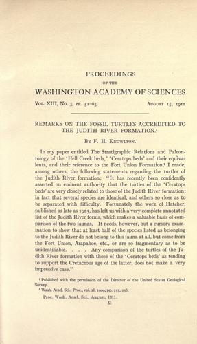 Remarks on the fossil turtles accredited to the Judith river formation