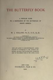 The butterfly book