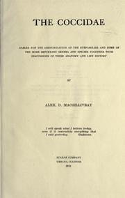 The Coccidae