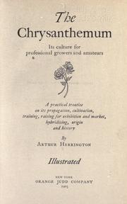 The chrysanthemum