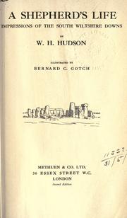 A shepherd's life' impressions of the South Wiltshire downs