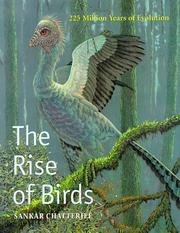 The rise of birds