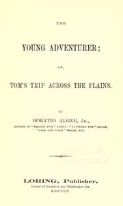 The young adventurer