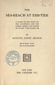The sea-beach at ebb-tide