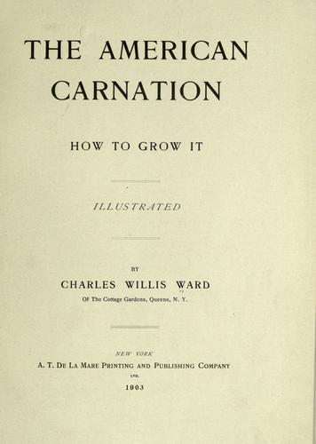 The American carnation, how to grow it ..