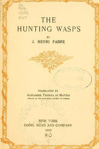 Hunting Wasp
