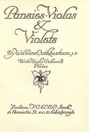 Pansies, violas & violets