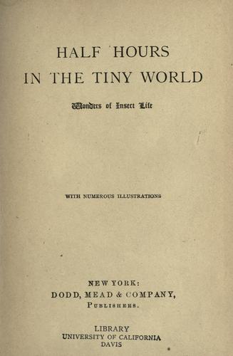 Half hours in the tiny world