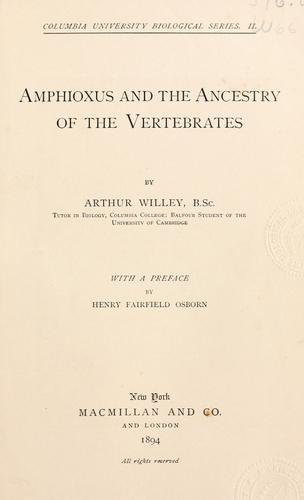 Amphioxus and the ancestry of the vertebrates