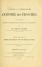 Anatomie des Frosches