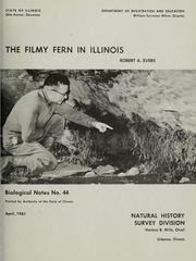 The filmy fern in Illinois