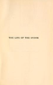 The Life of the Spider