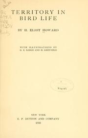 Territory in bird life