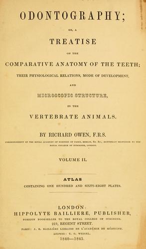Odontography