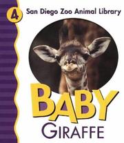 Baby giraffe