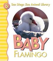 Baby flamingo