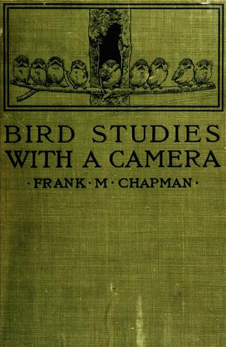 Bird studies with a camera