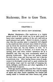 Mushroom: how to grow them