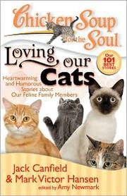 Chicken Soup for the Soul