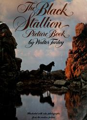 The black stallion picture book