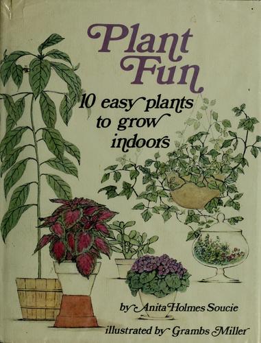 Plant fun: ten easy plants to grow indoors