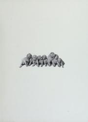 William Wegman's Puppies