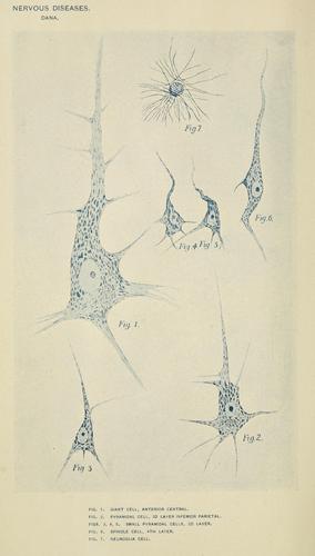 Text-book of nervous diseases and psychiatry