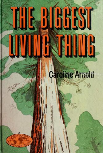The biggest living thing