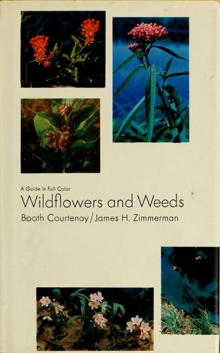 Wildflowers and weeds
