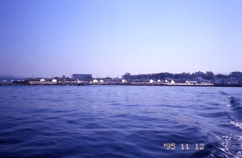 Mémoires pour servir à l'histoire d'un genre de polypes d'eau douce