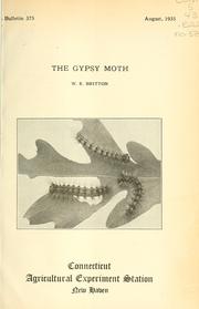 The gypsy moth